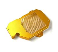 Motorcycle Radiator Grille Guard Radiator Guard For H&ON&DA PCX160 2021-2024 ADV160 2022-2024 Motorcycle Radiator Guard Water Tank Protection Grille