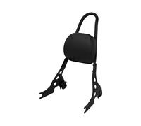 Motorcycle Rear Backrest Detachable Passenger Sissy Bar Back Rest For Harley Sportster XL883 1200 XLH1200 XLH883 Iron 72 2004-22,Functional