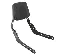 Motorcycle Rear Passenger Backrest For CL250 CL300 CL500 SCL500 2023 2024