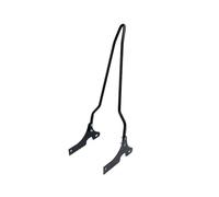 Motorcycle Rear Rack Motorcycle Integrate Detachables Passenger Backrest For Harley X48 XL883 XL1200 For Sportster V72 2007-2023