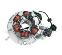 Motorcycle replacement parts Motorcycle 6 Coil Ignition Magneto Stator For KAYO for Apollo for SSR for SDG for BSE for CRF for TTR for KLX for Lifan 140 140cc 1P55FMJ Engine Dirt Pit Bike Easy repairs