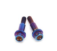 Motorcycle Screw parts The Motorcycle Electric Vehicle Pump Directly Pushes The OX Horn To Burn The Titanium Screw M6