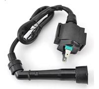 Motorcycle Spark Coil For Barossa For RAM For CAPTAIN For STINGER 300 For Quadzilla 250 300cc Ignition Coil Assy Motorbike Ignition Coil