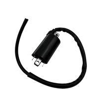 Motorcycle Spark Coil For XVS125 For MT-03 300 600 For YFM 700 For Grizzly 2006-2009 For XVS250 Motorcycle Ignition Coil Motorbike Ignition Coil