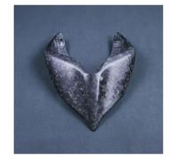 Motorcycle Spoiler For Ducati For Streetfighter V4/V4S V2 CARBON FIBER REAR FAIRING COWL Motorcycle Accessories Spare Parts Wing(Forged Weave Matte)