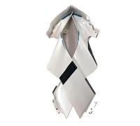 motorcycle Spoiler Wing Roof Spoiler Fit For CFMOTO CF450SR 450SR SR450 450 SR Motorcycle Side Downforce Naked Winglet Fairing Wings Deflectors(1)