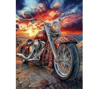 Motorcycle Stamped Cross Stitch Kits for Beginners Adults - Preprinted 11CT Easy Pattern Needlepoint Kits, Arts and Crafts for Home Decor (11.8x15.7inch) 177