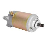 Motorcycle Starter Motor For Kazuma Cougar 250 Dingo Falcon Starting Motor 250cc Engine CN250 CH250 ATV Quad Sports Dune Buggy Go Kart