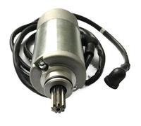 Motorcycle Starter Replacement Fit For Loncin JS250 250cc Puma Wild Cat Mountin Lion ATV UTV Quad Bike Electric Engine Starter Motor