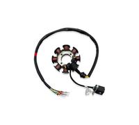 Motorcycle Stator 8/12 Poles Motorcycle Stator Coil Ignition For ZONGSHEN CBS300 ZS174MN-3 NB300 ZS174MN-5 Engine Accessories Parts(8 Poles)