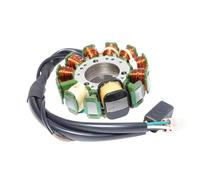 Motorcycle Stator Coil Compatible With Arctic For Cat For Thundercat For Mc For Thunder 1993 1994 1995 1996 1997 1998 1999 Motorcycle Stator Coil Accessories