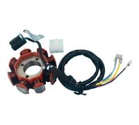 Motorcycle Stator Coil Compatible With FT125 FT150 AKT125 For CG125 CG150 For 125cc 150cc Magneto 8 Pole AC Stator Coil Generator Engine Accessories Replacement