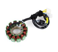 Motorcycle Stator Coil Compatible With Hyosung GT250 GV250 GT125 GV125 GT250R GT125R GT GV 125 250 Generator Magneto 32100HG5100 32101HG5100