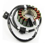Motorcycle Stator Coil Compatible With RS Rage Vector ER Mountain 8GC-81410-00 8GC-81410-10 Stator Assembly