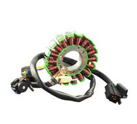 Motorcycle Stator Coil Compatible With Suzuki For DR200 1995-2013 For DF200 1996-2000 Motorcycle Generator Stator Coil Motorbike Stator Coil Accessories