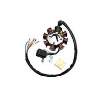 Motorcycle Stator Coil For CG125 CG150 CG200 CG250 ATV Magneto Eight Pole Of The Stator Coil Accessories