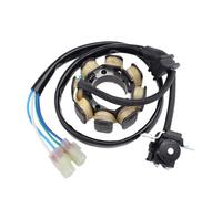 Motorcycle Stator Coil For CRF250 For CRF250R For Crf 250 R 250R 2004-2020 2005 2006 2007 2008 2009 2010 2011 2012 2013 2014 Generator Stator Coil(2004-2009 Color)