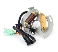 Motorcycle Stator Coil For YFS200 For Blaster 1988-1989/1990-2002 ATV Magneto Engine Generator Stator Coil 3JM-85560-00 2XJ-85560-M0 Moto Parts