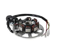 Motorcycle Stator Coil Magneto Generator Compatible with ARN 50 Easy 50 Flash 50 Goccia 50 Hacker 50 RY8 50