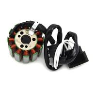 Motorcycle Stator Coils For FZ8 FZ8-N FZ8-NA FZ8-SA FZ1 For Fazer FZ1-N FZ1-SA FZ1-NA YZF R1 LE Motorcycle Stator Coil Comp