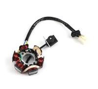 Motorcycle Stator For 50cc 70cc 90cc 110cc 125cc Quad Dirt Bike ATV Go Kart Buggy 6 Pole Electric Start Magneto Stator Generator 6-Coils