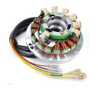 Motorcycle Stator Ignition Stator Coil For TE350 TE510 TE610 TC500 TC510 TC610 TX510 WXC350 WXC610 WXE350 WXE510 WXE610 WMX510 WMX610