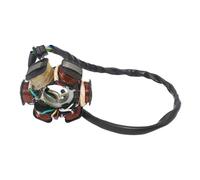 Motorcycle Stator Magneto 6 Coils Magneto Stator Coil For 49cc 50cc 70cc 90cc 110cc 125cc 150cc GY6 Moped ATV Scooter Go Kart Dirt Bike 4-Stroke