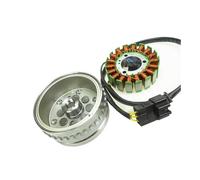 Motorcycle Stator Magneto Coil Motorcycle Accessories For CF250-6 250NK 250SR Motor Rotor Stator Assembly Magnetic Cylinder Coil Replacement Parts