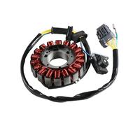 Motorcycle Stator Motorcycle Stator Ignition Coil For Adly ATV 300U II 300XS Assault 300 For Hurricane 400 OEM:31120-169-001 Parts