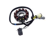 Motorcycle Stator ZS177MM ZS194MQ-2 Motorcycle DC 12V Stator Coil Assy Magneto Ignition For SM-MOTORS