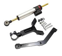 Motorcycle Steering Damper Stabilizer Bracket Mounting For Tr&iumph For STREET TRIPLE 765 S/R RS 2017-2023 Motorcycle Stabilizer(Silver-A)