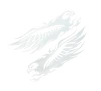 Motorcycle Stickers & Decals | Car Decal Stickers Eagle Design | Waterproof Vintage Self Adhesive Patch Tape Reflective for Bicycle Dirt Helmet Vehicle Truck Laptop