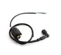 Motorcycle Switch Coil CDI Motorcycle Modified Parts CDI Ignition Starter Coil 6V 2 Wires Suitable For 50cc-125cc Off-Road Vehicles and Light Motorcycles