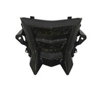 Motorcycle Tail Light For BMW HP4 S1000R S1000RR 2009-2018 Chrome Led Integrated Taillight Tail Brake Turn Signal Light(Smoke)