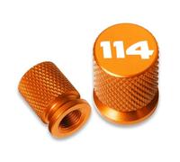 Motorcycle valve caps For Softail Fat Boy 114 FLFB FLFBS Street Bob 2018-2023 Motorcycle Accessories CNC Tire Valve Stem Caps Cover Plugs(Dd-r)