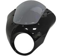motorcycle wind deflector Forty-Eight For Special For XL1200XS 2018-2021 Headlight Windscreen(Light-Grey)