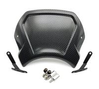 Motorcycle Windscreen For CB125R For CB300R For CB650R For CB1000R 2018-2023 Motorcycle Frontal Plate Vintage WindScreen Windshield Deflector Windshield(Carbon 300)