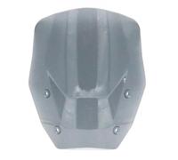 Motorcycle Windshield Fit For BMW R1300GS R 1300 GS R1300 GS GS1300 R 1300GS Motorcycle Ted Windshield (ACC) 2023-2024 Windshield Visor Wind(Grey)