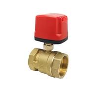 Motorized Ball Valve 2-Wire/3-Wire Waterproof IP65 2-Way/3-Way DN15 DN20 DN25 Electric Ball Valves Female Thread 12V 24V 220V(2-way-dc24v-cr04,3/4 inch)