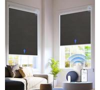 Motorized Blinds with Remote, 100% Blackout Electric Blind for Windows,Smart Automatic Blinds Cordless Roller Shades, Black 24" W x 72" H