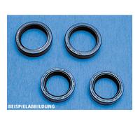 Motorrad Nielsen Fork seal set A 073