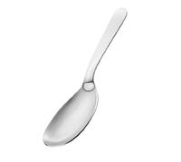 Motta Stainless Steel Serving Spoon