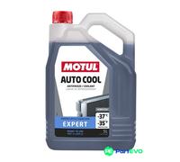 MOTUL ANTIFREEZE 111733