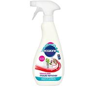 Mould Remover Spray 500ml by Ecozone