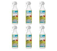 Mould Spray, Fast-Acting, Removing Fungal Stains, Mildew, Algae, Long-Lasting Freshness And Protection, Ideal For Tile Joints, Silicone Seals, Plaster, Brickwork, 500ml (Pack of 6)