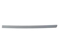 Moulding Door Rear Left Fits: VW Passat B5 08.96-11.00