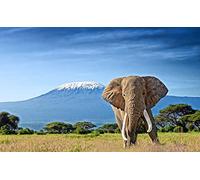 Mount Kilimanjaro Elephants Roof of Africa Full Drill DIY 5D Diamond Painting by Number Unique Kits Home Wall Decor Crystal