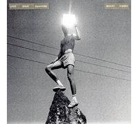 Mount Kimbie – Love What Survives – 12" Vinyl