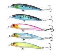 Mount Kumgang 5pcs Artificial Minnow Crankbait, Artificial Lures 3D Set, Bionic Surface Lures for Sea Bass, Fish Gifts for Men, For Predators Suitable for Fresh and Salt Water