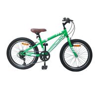Mountain Bike 20'' Green Steel Frame 6-Speed Kids 5-8yrs Adjustable Seat Reflect